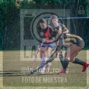 Fotografía LLN-159 de (043) 2026-06-14 Newbery La Loba