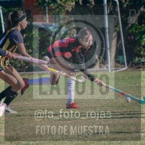 Fotografía LLN-163 de (043) 2026-06-14 Newbery La Loba