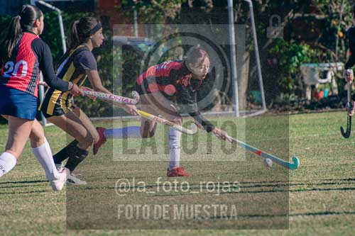 Fotografía LLN-163 de (043) 2026-06-14 Newbery La Loba