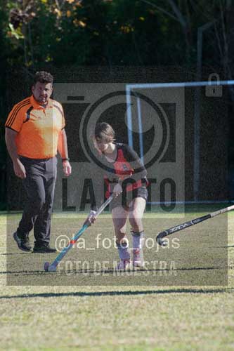 Fotografía LLN-165 de (043) 2026-06-14 Newbery La Loba