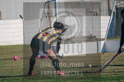 Fotografía LLN-166 de (043) 2026-06-14 Newbery La Loba