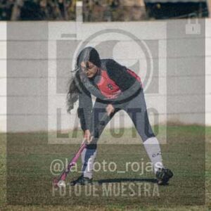 Fotografía LLN-17 de (043) 2026-06-14 Newbery La Loba