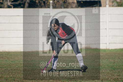 Fotografía LLN-17 de (043) 2026-06-14 Newbery La Loba