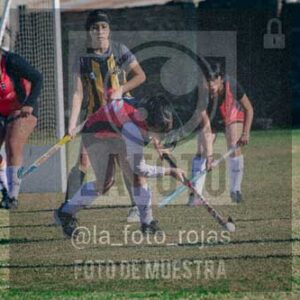 Fotografía LLN-171 de (043) 2026-06-14 Newbery La Loba