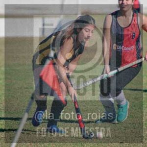 Fotografía LLN-172 de (043) 2026-06-14 Newbery La Loba
