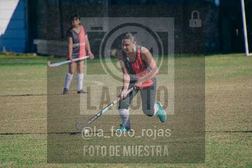 Fotografía LLN-173 de (043) 2026-06-14 Newbery La Loba