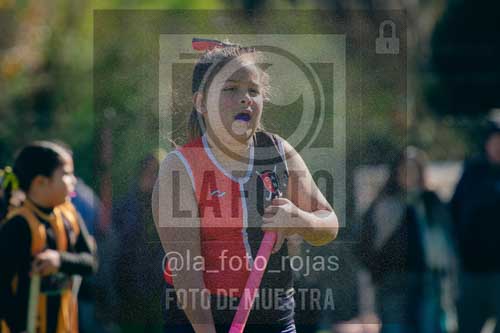 Fotografía LLN-181 de (043) 2026-06-14 Newbery La Loba