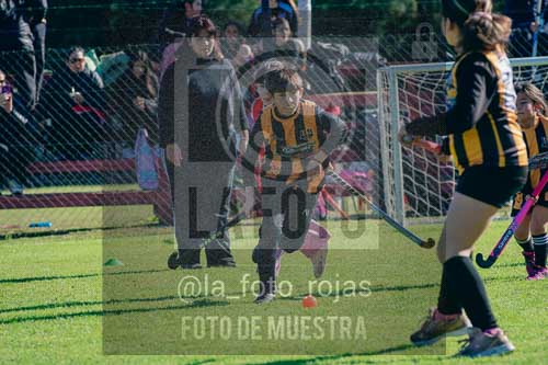 Fotografía LLN-182 de (043) 2026-06-14 Newbery La Loba