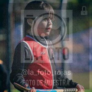 Fotografía LLN-185 de (043) 2026-06-14 Newbery La Loba