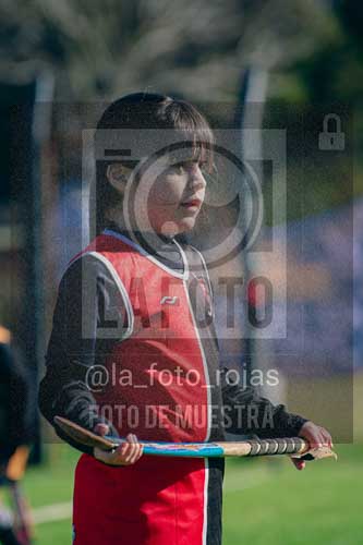 Fotografía LLN-185 de (043) 2026-06-14 Newbery La Loba