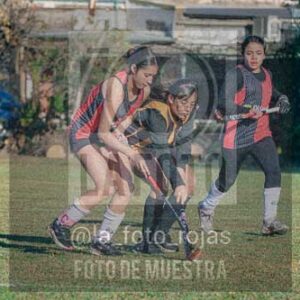 Fotografía LLN-19 de (043) 2026-06-14 Newbery La Loba