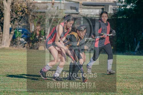 Fotografía LLN-19 de (043) 2026-06-14 Newbery La Loba