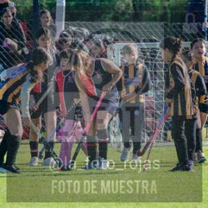 Fotografía LLN-194 de (043) 2026-06-14 Newbery La Loba