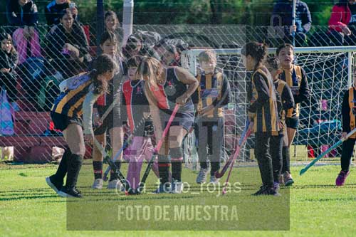 Fotografía LLN-194 de (043) 2026-06-14 Newbery La Loba