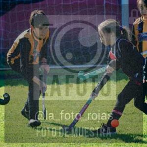 Fotografía LLN-195 de (043) 2026-06-14 Newbery La Loba