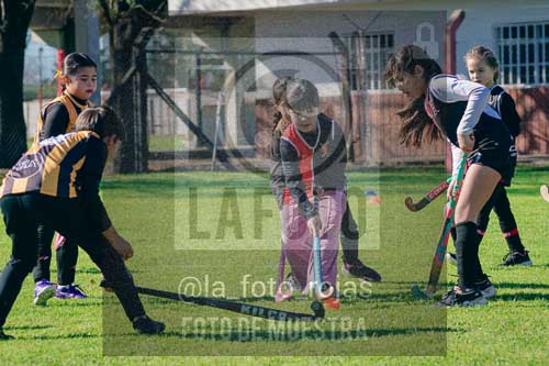 Fotografía LLN-200 de (043) 2026-06-14 Newbery La Loba