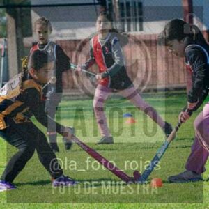 Fotografía LLN-203 de (043) 2026-06-14 Newbery La Loba
