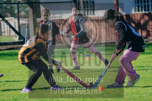 Fotografía LLN-203 de (043) 2026-06-14 Newbery La Loba