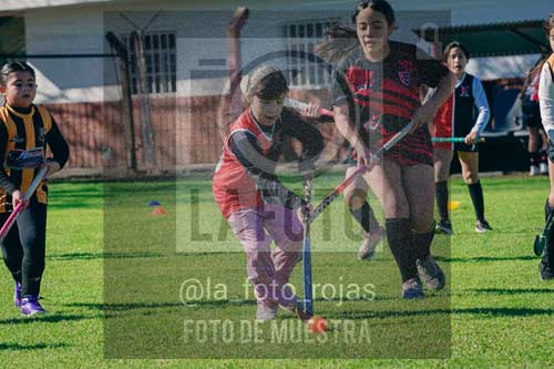 Fotografía LLN-204 de (043) 2026-06-14 Newbery La Loba