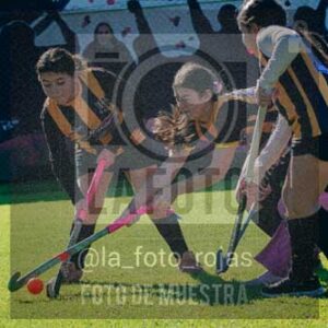 Fotografía LLN-205 de (043) 2026-06-14 Newbery La Loba