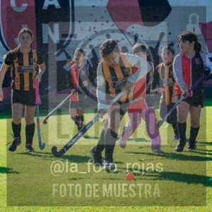 Fotografía LLN-206 de (043) 2026-06-14 Newbery La Loba
