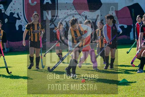 Fotografía LLN-206 de (043) 2026-06-14 Newbery La Loba