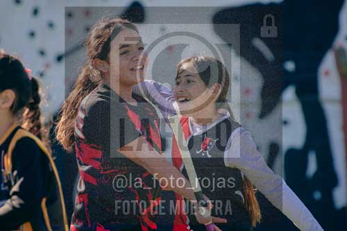 Fotografía LLN-207 de (043) 2026-06-14 Newbery La Loba