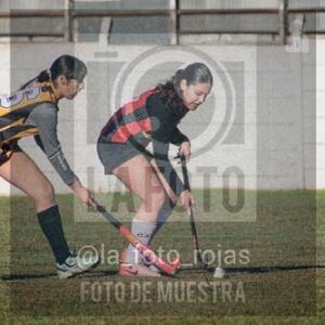Fotografía LLN-21 de (043) 2026-06-14 Newbery La Loba