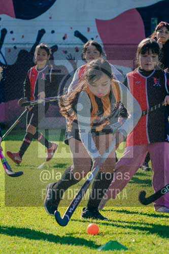 Fotografía LLN-213 de (043) 2026-06-14 Newbery La Loba