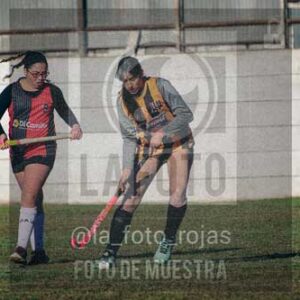 Fotografía LLN-22 de (043) 2026-06-14 Newbery La Loba