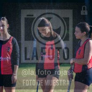 Fotografía LLN-226 de (043) 2026-06-14 Newbery La Loba