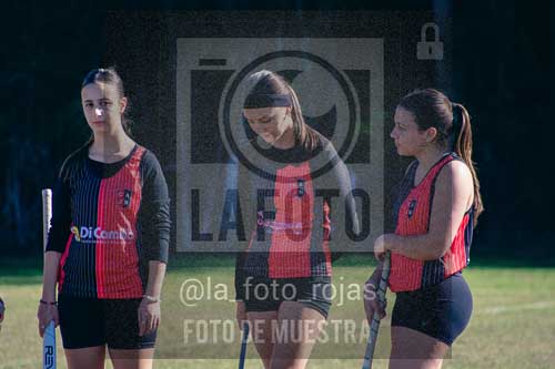 Fotografía LLN-226 de (043) 2026-06-14 Newbery La Loba