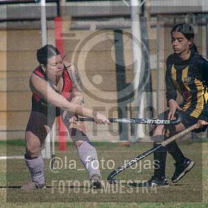Fotografía LLN-235 de (043) 2026-06-14 Newbery La Loba