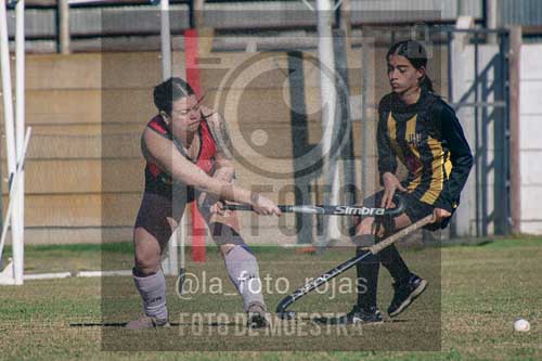 Fotografía LLN-235 de (043) 2026-06-14 Newbery La Loba