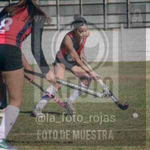 Fotografía LLN-237 de (043) 2026-06-14 Newbery La Loba