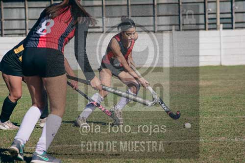 Fotografía LLN-237 de (043) 2026-06-14 Newbery La Loba