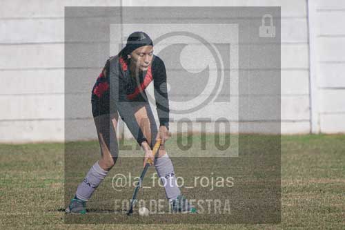 Fotografía LLN-241 de (043) 2026-06-14 Newbery La Loba