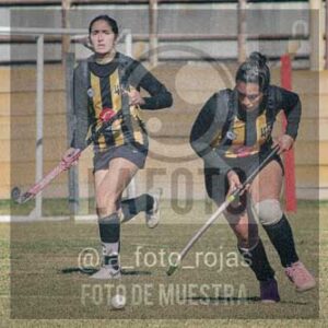 Fotografía LLN-247 de (043) 2026-06-14 Newbery La Loba