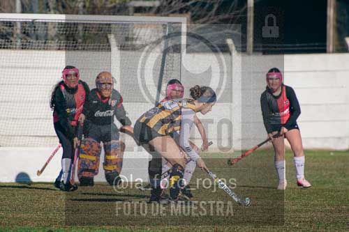 Fotografía LLN-25 de (043) 2026-06-14 Newbery La Loba