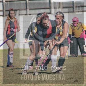 Fotografía LLN-252 de (043) 2026-06-14 Newbery La Loba