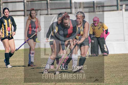 Fotografía LLN-252 de (043) 2026-06-14 Newbery La Loba