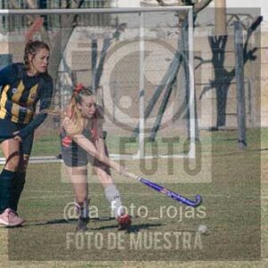 Fotografía LLN-258 de (043) 2026-06-14 Newbery La Loba