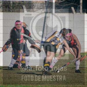 Fotografía LLN-26 de (043) 2026-06-14 Newbery La Loba