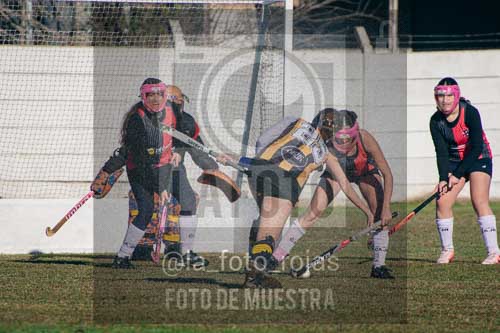 Fotografía LLN-26 de (043) 2026-06-14 Newbery La Loba