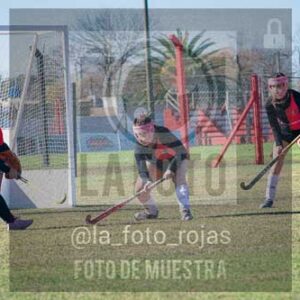 Fotografía LLN-266 de (043) 2026-06-14 Newbery La Loba