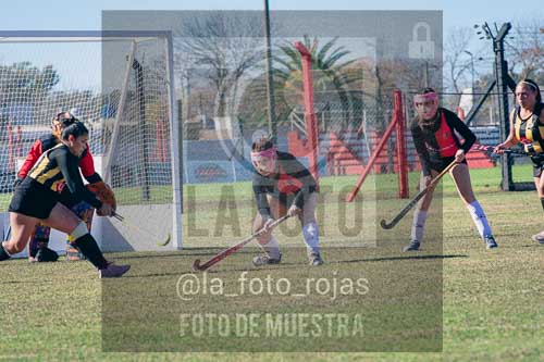 Fotografía LLN-266 de (043) 2026-06-14 Newbery La Loba