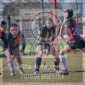 Fotografía LLN-268 de (043) 2026-06-14 Newbery La Loba