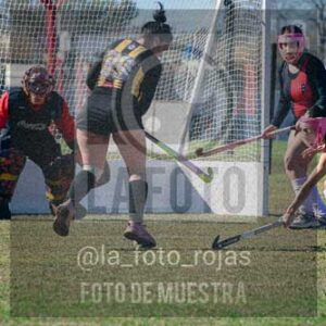 Fotografía LLN-269 de (043) 2026-06-14 Newbery La Loba