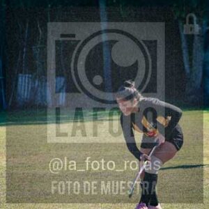Fotografía LLN-274 de (043) 2026-06-14 Newbery La Loba