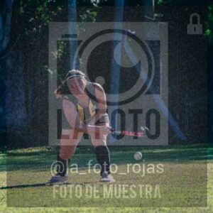 Fotografía LLN-275 de (043) 2026-06-14 Newbery La Loba
